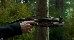 119-crossbow