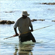 Rory fish