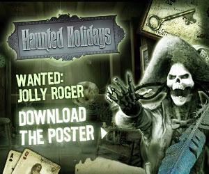 Banner potco 300x250