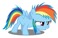 FoalRainbowDash