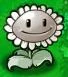 Sunflower.jpg (3 KB) Sunflower