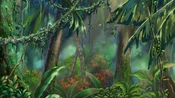 JungleField-JP-Anime-ZX-NC