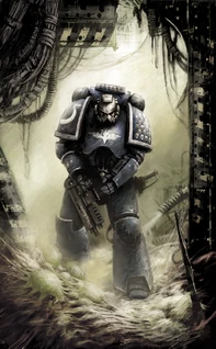 Ultramarines tres