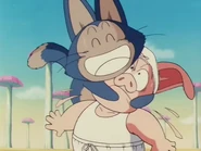 Puar feliz