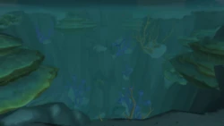 NarsongTrench