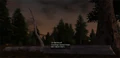 Underbrush.jpg