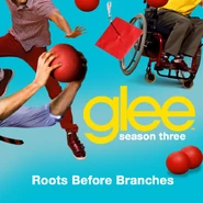 Roots Before Branches cover