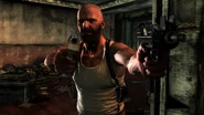 Max Dual Wielding