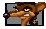 Pinstripe Potoroo