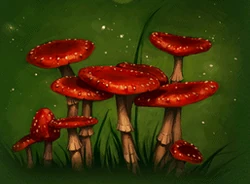 FatRedToadstools