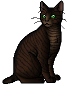 Stumpytail.warrior