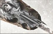 Hidden Gun