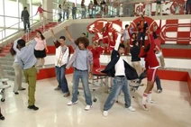 Hsm4