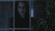 PLL217-00858