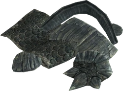 Dragon heartscales