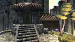The Missing Pauldron