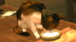 Link the Cat