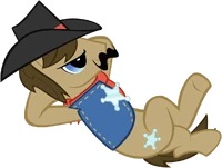 Sheriff silver star