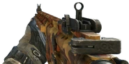 CM901 Autumn MW3