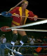 Robert Fuller 9