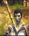 Gwyn Anwy.png