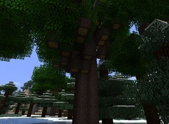 Greatwoodtree