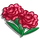Red Carnation (crop)-icon