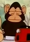 Cheeta(DS)