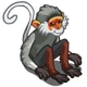 Douc Langur Monkey-icon