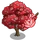 Red Magnolia Tree-icon