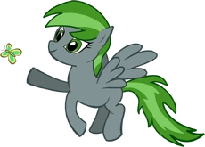 Forest Rain-Flutterbug