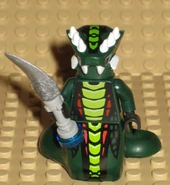 Acidicus5