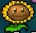 DS Sunflower.png (9 KB) DS Sunflower