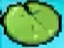 DS Lily Pad