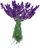 HO SecLPond Lavendar-icon