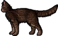 Dodge.rogue.png