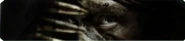 Scout Background BO