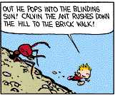 Calvin the Ant