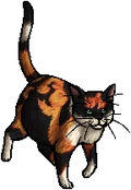 Tawnypelt.queen
