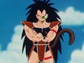 Raditz16