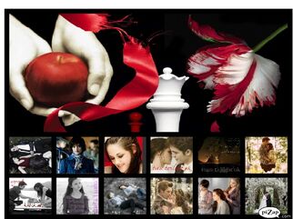 Coverphoto