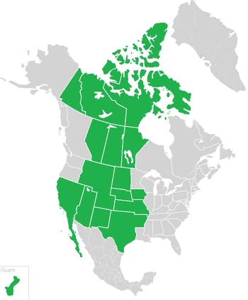 Location of ASA