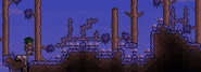 Vile Mushrooms