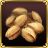 Pistachio Nuts