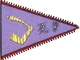 Feng Swann flag