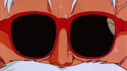 Roshi sunglasses