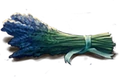 Lavande.png