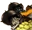 Inferno resources small