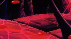 Cuerpo de Buu