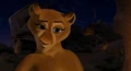 Florrie.jpg